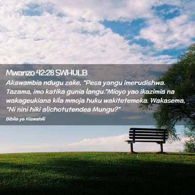 Picture 02 - Mwanzo 42:28 SWHULB - Akawambia ndugu zake, “Pesa yangu imerudishwa. - Bible Verse Picture