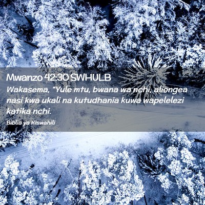 Picture 02 - Mwanzo 42:30 SWHULB - Wakasema, “Yule mtu, bwana wa nchi, aliongea - Bible Verse Picture