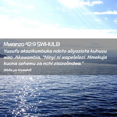 Picture 02 - Mwanzo 42:9 SWHULB - Yusufu akazikumbuka ndoto aliyoziota kuhusu wao. - Bible Verse Picture