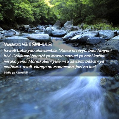 Picture 02 - Mwanzo 43:11 SWHULB - Israeli baba yao akawambia, “Kama ni hivyo, - Bible Verse Picture