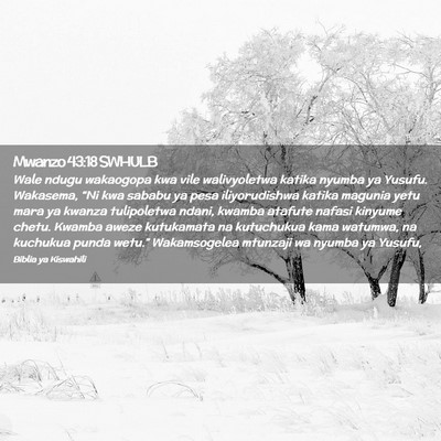 Picture 02 - Mwanzo 43:18 SWHULB - Wale ndugu wakaogopa kwa vile walivyoletwa katika - Bible Verse Picture