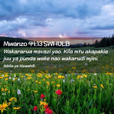 Picture 02 - Mwanzo 44:13 SWHULB - Wakararua mavazi yao. Kila mtu akapakia juu ya - Bible Verse Picture