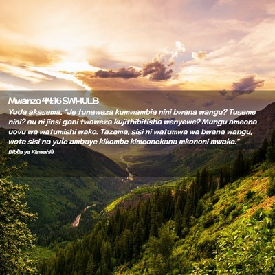 Picture 02 - Mwanzo 44:16 SWHULB - Yuda akasema, “Je tunaweza kumwambia nini bwana - Bible Verse Picture