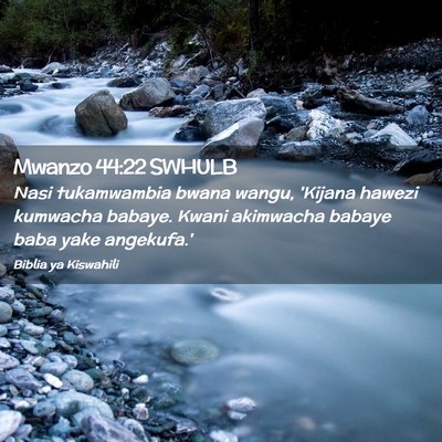 Picture 02 - Mwanzo 44:22 SWHULB - Nasi tukamwambia bwana wangu, 'Kijana hawezi - Bible Verse Picture