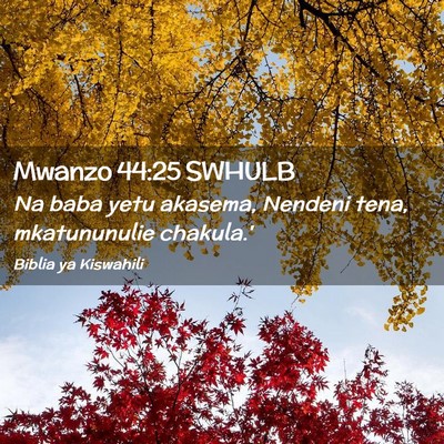 Picture 02 - Mwanzo 44:25 SWHULB - Na baba yetu akasema, Nendeni tena, mkatununulie - Bible Verse Picture