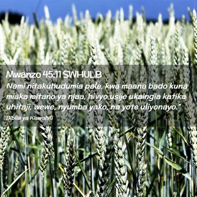 Picture 02 - Mwanzo 45:11 SWHULB - Nami nitakuhudumia pale, kwa maana bado kuna - Bible Verse Picture