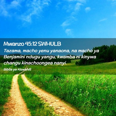 Picture 02 - Mwanzo 45:12 SWHULB - Tazama, macho yenu yanaona, na macho ya Benjamini - Bible Verse Picture
