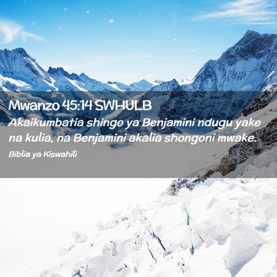 Picture 02 - Mwanzo 45:14 SWHULB - Akaikumbatia shingo ya Benjamini ndugu yake na - Bible Verse Picture