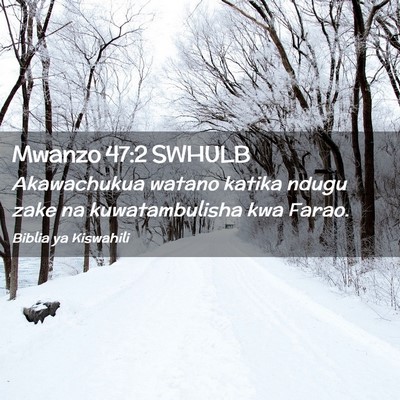 Picture 02 - Mwanzo 47:2 SWHULB - Akawachukua watano katika ndugu zake na - Bible Verse Picture