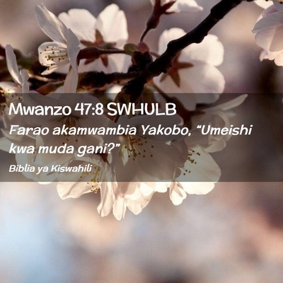 Picture 02 - Mwanzo 47:8 SWHULB - Farao akamwambia Yakobo, “Umeishi kwa muda - Bible Verse Picture