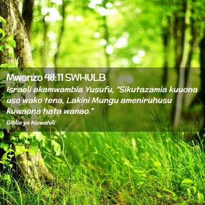 Picture 02 - Mwanzo 48:11 SWHULB - Israeli akamwambia Yusufu, “Sikutazamia kuuona - Bible Verse Picture
