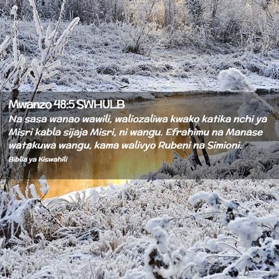 Picture 02 - Mwanzo 48:5 SWHULB - Na sasa wanao wawili, waliozaliwa kwako katika - Bible Verse Picture
