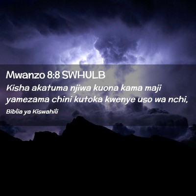 Picture 02 - Mwanzo 8:8 SWHULB - Kisha akatuma njiwa kuona kama maji yamezama - Bible Verse Picture