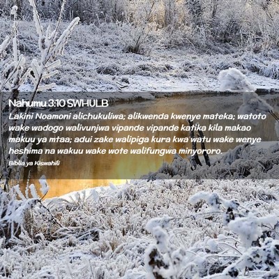 Picture 02 - Nahumu 3:10 SWHULB - Lakini Noamoni alichukuliwa; alikwenda kwenye - Bible Verse Picture