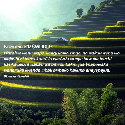 Picture 02 - Nahumu 3:17 SWHULB - Wafalme wenu wapo wengi kama zinge, na wakuu wenu - Bible Verse Picture