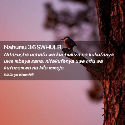 Picture 02 - Nahumu 3:6 SWHULB - Nitarusha uchafu wa kuchukiza na kukufanya uwe - Bible Verse Picture