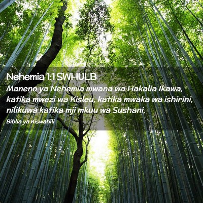 Picture 02 - Nehemia 1:1 SWHULB - Maneno ya Nehemia mwana wa Hakalia Ikawa, katika - Bible Verse Picture