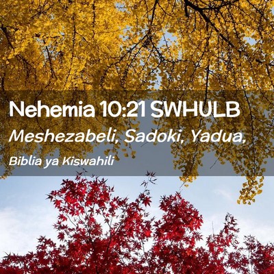 Picture 02 - Nehemia 10:21 SWHULB - Meshezabeli, Sadoki, - Bible Verse Picture