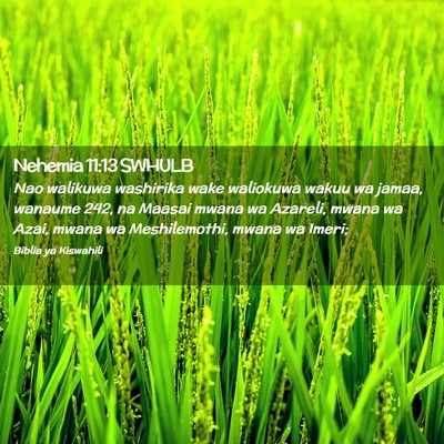 Picture 02 - Nehemia 11:13 SWHULB - Nao walikuwa washirika wake waliokuwa wakuu wa - Bible Verse Picture