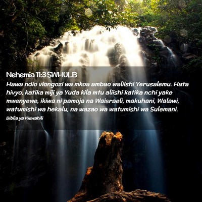 Picture 02 - Nehemia 11:3 SWHULB - Hawa ndio viongozi wa mkoa ambao waliishi - Bible Verse Picture