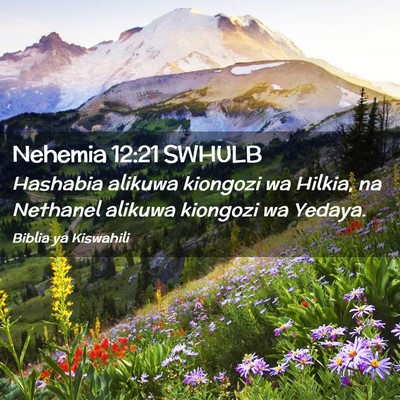 Picture 02 - Nehemia 12:21 SWHULB - Hashabia alikuwa kiongozi wa Hilkia, na Nethanel - Bible Verse Picture