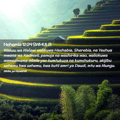 Picture 02 - Nehemia 12:24 SWHULB - Wakuu wa Walawi walikuwa Hashabia, Sherebia, na - Bible Verse Picture