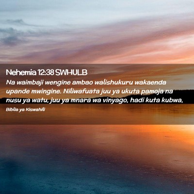 Picture 02 - Nehemia 12:38 SWHULB - Na waimbaji wengine ambao walishukuru wakaenda - Bible Verse Picture