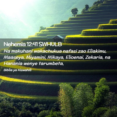 Picture 02 - Nehemia 12:41 SWHULB - Na makuhani wakachukua nafasi zao Eliakimu, - Bible Verse Picture