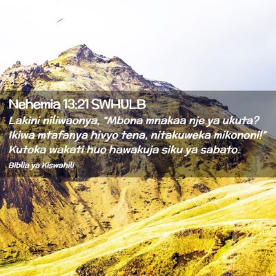 Picture 02 - Nehemia 13:21 SWHULB - Lakini niliwaonya, “Mbona mnakaa nje ya ukuta? - Bible Verse Picture