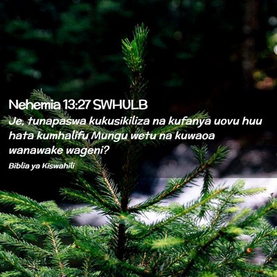 Picture 02 - Nehemia 13:27 SWHULB - Je, tunapaswa kukusikiliza na kufanya uovu huu - Bible Verse Picture