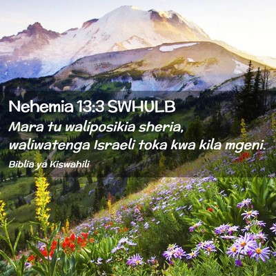 Picture 02 - Nehemia 13:3 SWHULB - Mara tu waliposikia sheria, waliwatenga Israeli - Bible Verse Picture