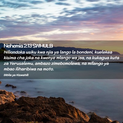 Picture 02 - Nehemia 2:13 SWHULB - Niliondoka usiku kwa njia ya lango la bondeni, - Bible Verse Picture