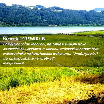 Picture 02 - Nehemia 2:19 SWHULB - Lakini Sanbalati Mhoroni, na Tobia mtumishi wake - Bible Verse Picture
