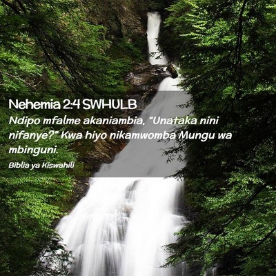 Picture 02 - Nehemia 2:4 SWHULB - Ndipo mfalme akaniambia, “Unataka nini - Bible Verse Picture
