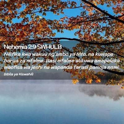 Picture 02 - Nehemia 2:9 SWHULB - Nilifika kwa wakuu ng'ambo ya Mto, na kuwapa - Bible Verse Picture