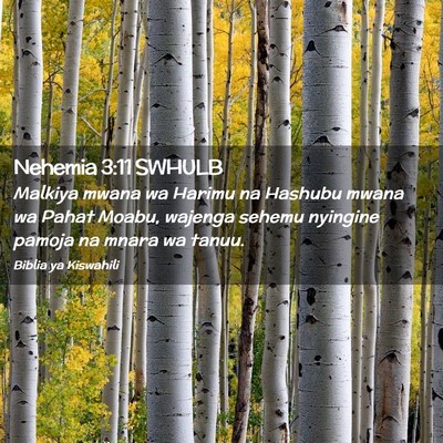 Picture 02 - Nehemia 3:11 SWHULB - Malkiya mwana wa Harimu na Hashubu mwana wa Pahat - Bible Verse Picture
