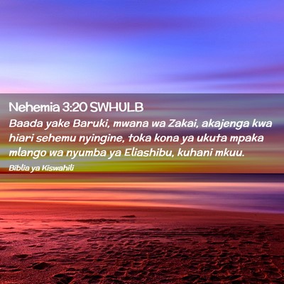 Picture 02 - Nehemia 3:20 SWHULB - Baada yake Baruki, mwana wa Zakai, akajenga kwa - Bible Verse Picture