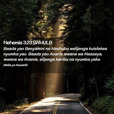 Picture 02 - Nehemia 3:23 SWHULB - Baada yao Benyamini na Hashubu walijenga - Bible Verse Picture