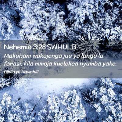 Picture 02 - Nehemia 3:28 SWHULB - Makuhani wakajenga juu ya lango la farasi, kila - Bible Verse Picture