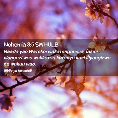 Picture 02 - Nehemia 3:5 SWHULB - Baada yao Watekoi wakatengeneza, lakini viongozi - Bible Verse Picture
