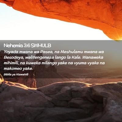 Picture 02 - Nehemia 3:6 SWHULB - Yoyada mwana wa Pasea, na Meshulamu mwana wa - Bible Verse Picture