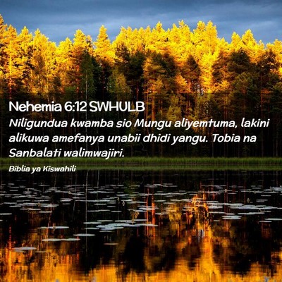 Picture 02 - Nehemia 6:12 SWHULB - Niligundua kwamba sio Mungu aliyemtuma, lakini - Bible Verse Picture