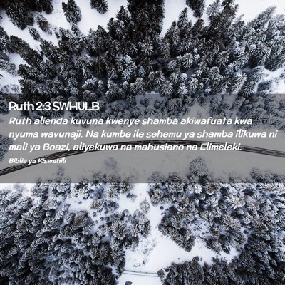 Picture 02 - Ruth 2:3 SWHULB - Ruth alienda kuvuna kwenye shamba akiwafuata kwa - Bible Verse Picture