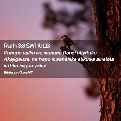 Picture 02 - Ruth 3:8 SWHULB - Panapo usiku wa manane Boazi alisituka. - Bible Verse Picture