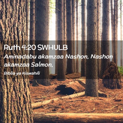 Picture 02 - Ruth 4:20 SWHULB - Aminadabu akamzaa Nashon, Nashon akamzaa - Bible Verse Picture