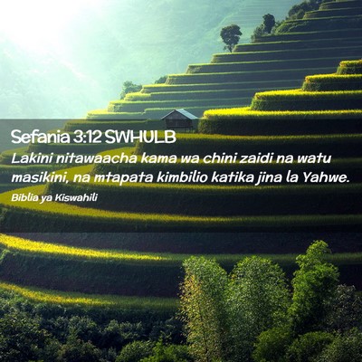 Picture 02 - Sefania 3:12 SWHULB - Lakini nitawaacha kama wa chini zaidi na watu - Bible Verse Picture