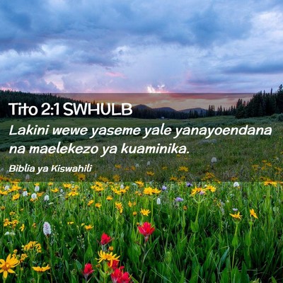 Picture 02 - Tito 2:1 SWHULB - Lakini wewe yaseme yale yanayoendana na maelekezo - Bible Verse Picture