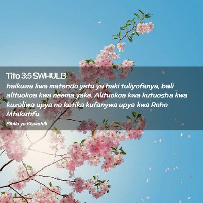 Picture 02 - Tito 3:5 SWHULB - haikuwa kwa matendo yetu ya haki tuliyofanya, - Bible Verse Picture