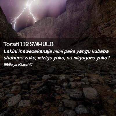 Picture 02 - Torati 1:12 SWHULB - Lakini inawezekanaje mimi peke yangu kubeba - Bible Verse Picture