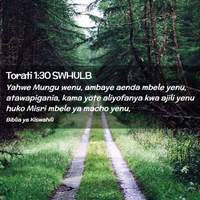 Picture 02 - Torati 1:30 SWHULB - Yahwe Mungu wenu, ambaye aenda mbele yenu, - Bible Verse Picture